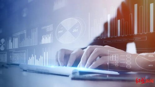 市场化与法治化双轮驱动 探索企业强制退出制度的技术咨询服务新路径